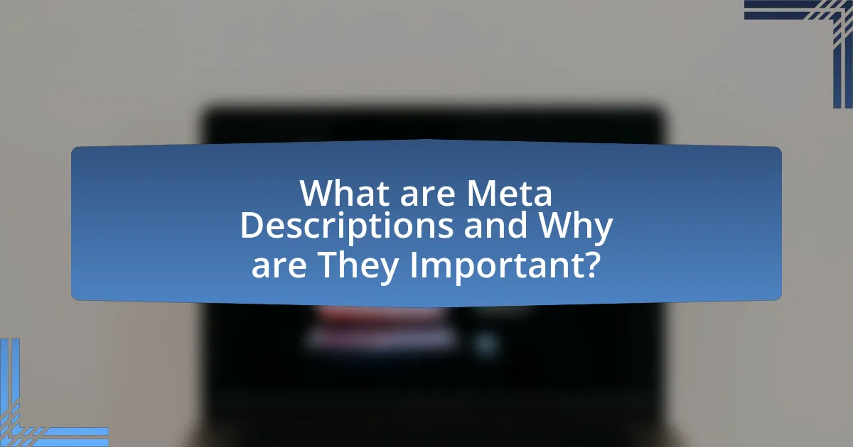 What are Meta Descriptions and Why are They Important?