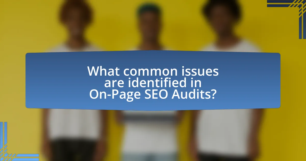 What common issues are identified in On-Page SEO Audits?