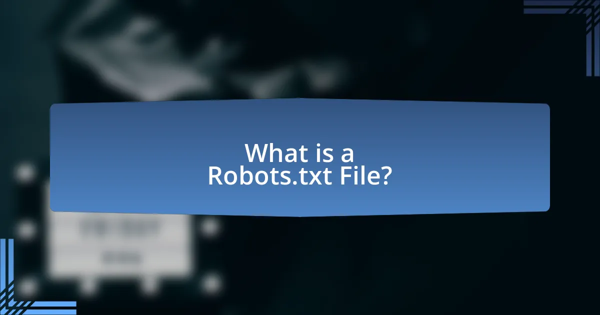What is a Robots.txt File?